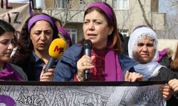 HDP'li Beştaş: Motivasyonumuz kadın düşmanı iktidarı göndermek olacak