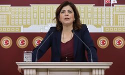 HDP'li Beştaş'tan Bakan Yanık'a sert 'Erzurum' tepkisi