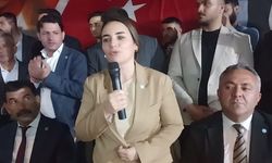 İyi Partili Türkeş: Bu diktayı yıkmamız gerekiyor, Türkiye'nin beka problemi bu