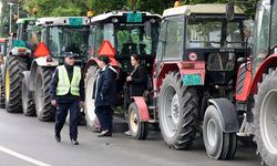 Sırbistan'daki çiftçilerden hükümete traktörlü protesto