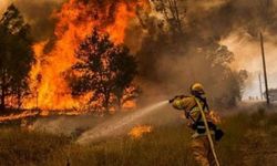 Orman yangınlarıyla mücadeleye bütçe yok