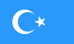 Türklüğe karşı saldırılar ve Doğu Türkistan l Cemil Kılıç yazdı...