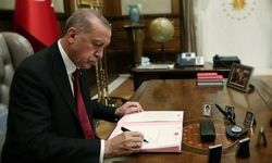 Erdoğan'ın imzalamak istemediği dosya: 'Takdir yetkisi yok'