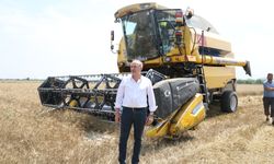 Didim'de ikinci kez buğday hasadı gerçekleştirildi
