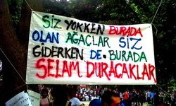Gezi bağları... l Merih Bayraktar yazdı...