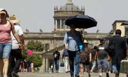 Meksika'da 112 kişi aşırı sıcaklardan hayatını kaybetti