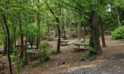 Ormanlarda piknik yapmak yasaklandı