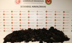 İstanbul Havalimanı'nda 93 kilogram insan saçı ele geçirildi