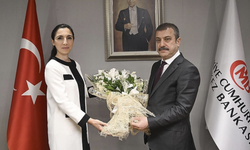 Kavcıoğlu, Şimşek ve Erkan'a gözetmenlik yapacak