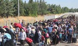 Yurttaş kadın ''Sığınmacılar Türkiye'yi işgal ettiler''