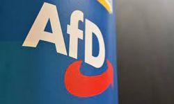 Almanya'da AFD ilk kez belediye kazandı