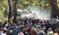 CHP'den 'Akbelen' hamlesi: Meclis'i olağanüstü toplanmaya çağırdı