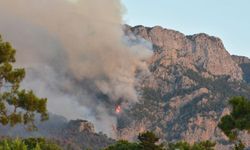 Antalya Kemer'deki orman yangını devam ediyor