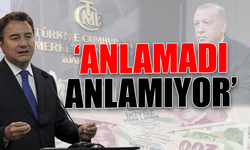 Ali Babacan'dan Erdoğan'a 'faiz' tepkisi