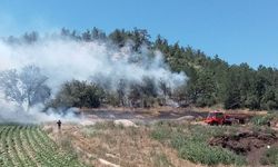 Bolu’daki orman yangını kontrol altına alındı