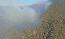 Bolu'da orman yangınını söndürme çalışmaları sürüyor