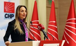 CHP Kadın Kolları Genel Başkanı'ndan 'İstanbul Sözleşmesi' mesajı!