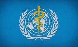 Dünya Sağlık Örgütü'nden Türkiye'ye tebrik