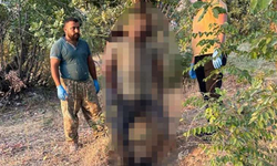 Şırnak'ta işkence görmüş erkek cesedi bulundu