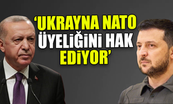 Erdoğan-Zelenskiy görüşmesi tamamlandı