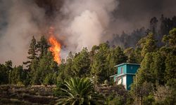 İspanya'da orman yangını nedeniyle binlerce kişi tahliye edildi