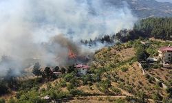 Kahramanmaraş'ta çıkan orman yangınları kontrol altına alındı