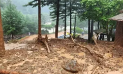 Güney Kore'de şiddetli yağış: 21 ölü