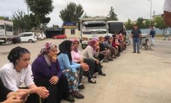 Mersin'de meyve sebze halinde çalışan işçiler eyleme başladı