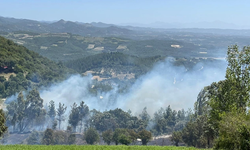 DSÖ: Orman yangınlarında 40 kişi vefat etti