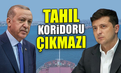 Erdoğan, Zelenskiy ile görüştü