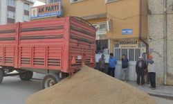 Bir çiftçi buğdayını AKP ilçe binasının önüne döktü