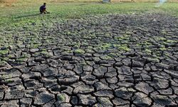Endonezya'da kuraklık nedeniyle 6 kişi hayatını kaybetti