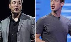 Mark Zuckerberg ile Elon Musk kafes dövüşü yapacak