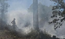 Portekiz'de orman yangını: 9 itfaiyeci yaralandı, 1400 kişi tahliye edildi