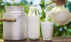 Çiğ sütün faydaları