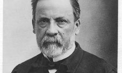 Louis Pasteur kimdir?