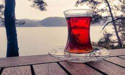 Dünya Çay Günü nedir?