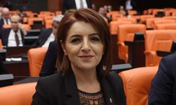 CHP'li Kış'tan Erdoğan ve Özhaseki'ye sert tepki: Tarih affetmeyecek, millet affetmeyecek