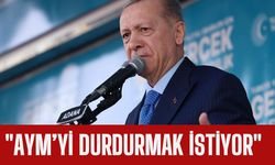 Erdoğan, AYM'yi durdurmak istiyor