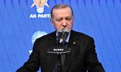 Tayyip Bey yeşil kart gösterdi, dünya futbolu şoka girdi l İsmet Orhan yazdı...