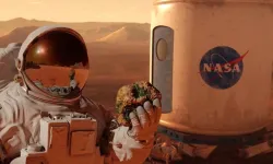 NASA Mars simülasyonunda yaşayacak adaylar arıyor!