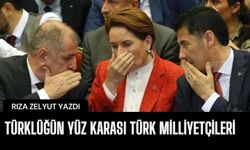 Türklüğün yüz karası Türk milliyetçileri l Rıza Zelyut yazdı...