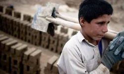 Çocuk işçi sayısında utandıran artış