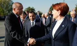 Akşener Erdoğan'la görüşecek... Konu yeni anasaya mı?