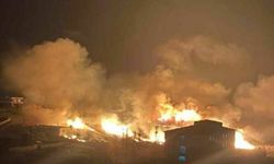 Diyarbakır ve Mardin'deki yangınla ilgili Yerlikaya ve Koca'dan açıklama