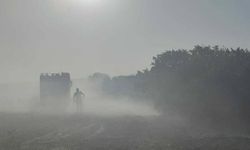 AKOM'dan orman yangını uyarısı: Risk yüksek