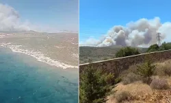 Çeşme'deki orman yangınında 3 kişi hayatını kaybetti