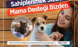 Sarıyer Belediyesi'nden anlamlı kampanya: Sahiplenmek sizden, mama bizden