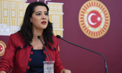 Sevda Karaca:Ticarethane olan özel hastaneleri kapatacak mısınız?''