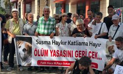 Yaşam hakkı savunucuları, sokak köpeklerini toplayan Fatih Belediyesi'ni protesto etti